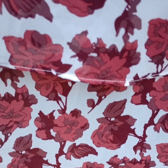 Betsey Johnson White and Red Floral High Low Dress - Picture 11 of 16